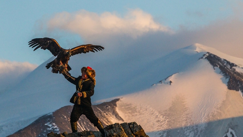 Eagle Training and Hunting