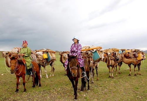 Discover the Brave Nomadic Lifestyle Experience